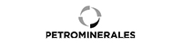 petrominerales